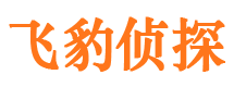 和县外遇出轨调查取证